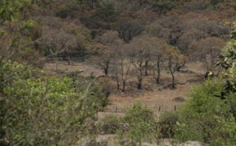 Angamuco, la ciudad perdida de Michoacán