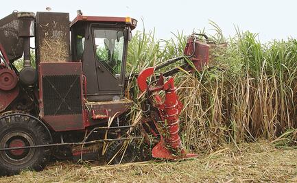 Rusia prohíbe temporalmente las exportaciones de cereales y azúcar