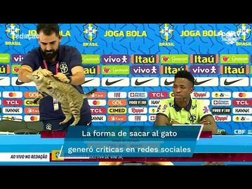 Sacan de fea forma a gatito durante conferencia de prensa de Brasil