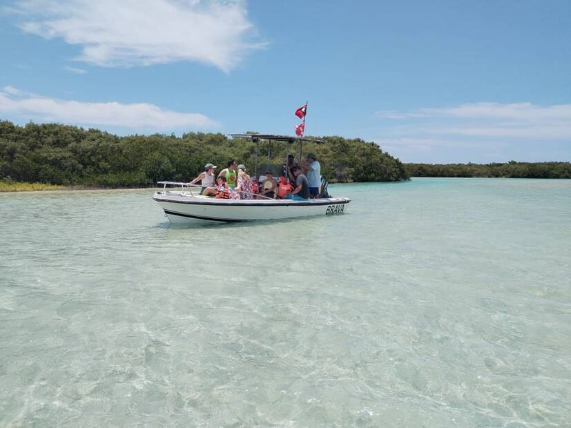 Foto: Tours Isla Columpios