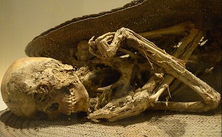 Museo del Carmen suma a su colección permanente 17 momias