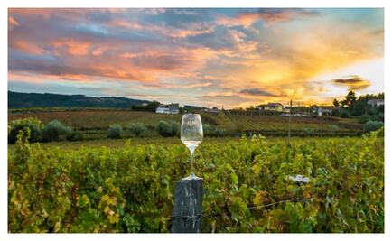 ¿Qué son los wine bars?