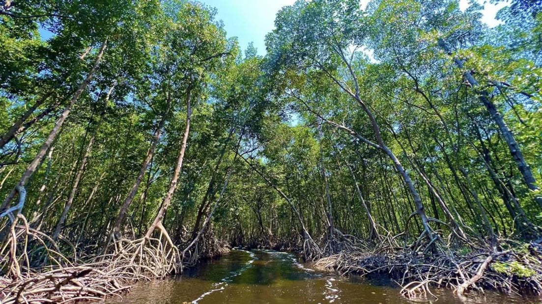 Foto: Sectur Chiapas