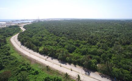 Diputados critican inicio de construcción de refinería en Dos Bocas