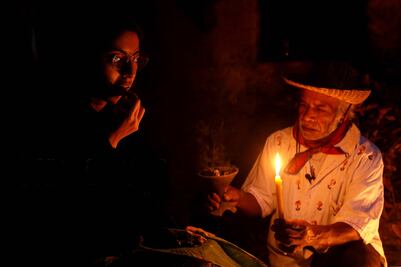 Hongos sagrados: de medicina ancestral al turismo psicodélico