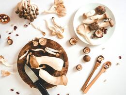 ¿Los hongos se lavan con agua?