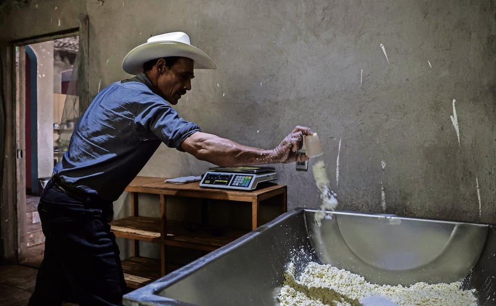 Productores de queso cotija luchan por conservar la tradición artesanal
