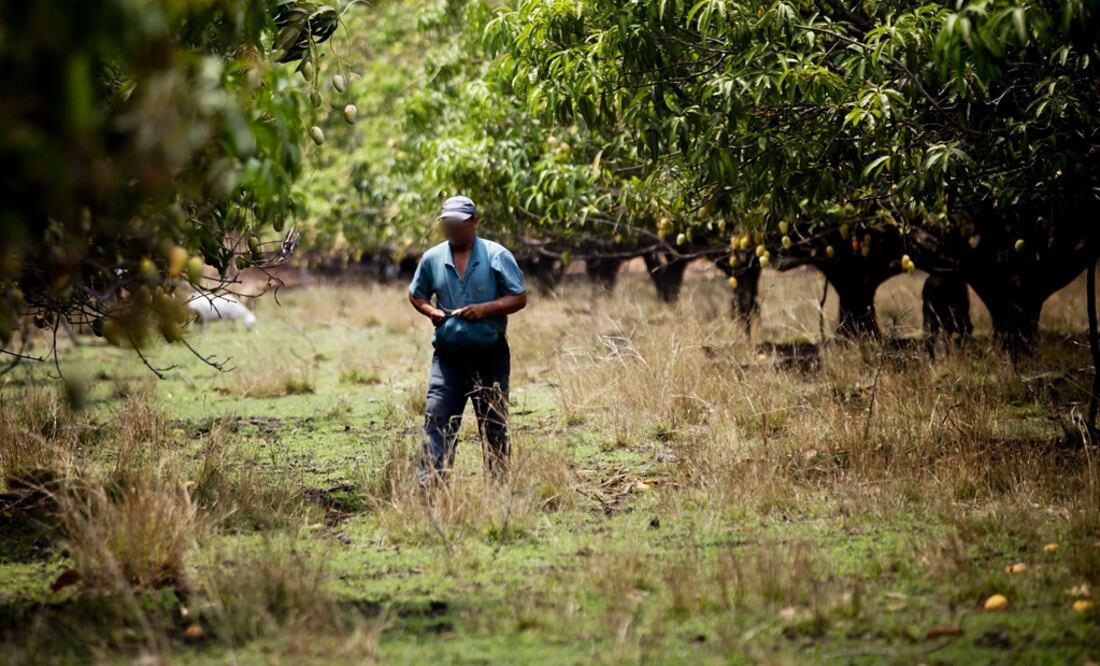 (Foto: Archivo/ELUNIVERSAL)