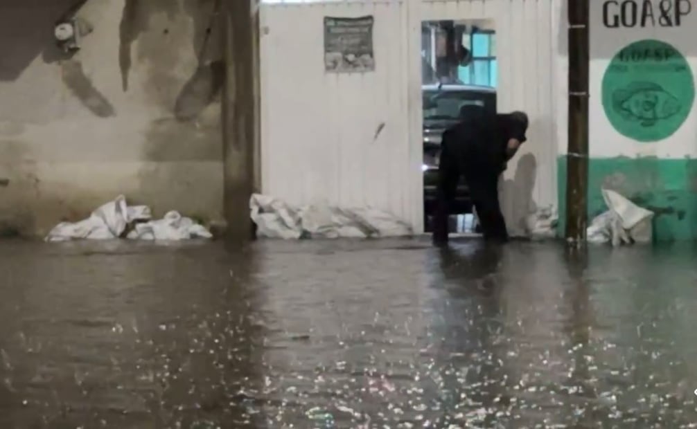 Lluvias generan afectaciones en CDMX; reportan encharcamientos, árboles caídos y viviendas dañadas.
Foto: Especial.