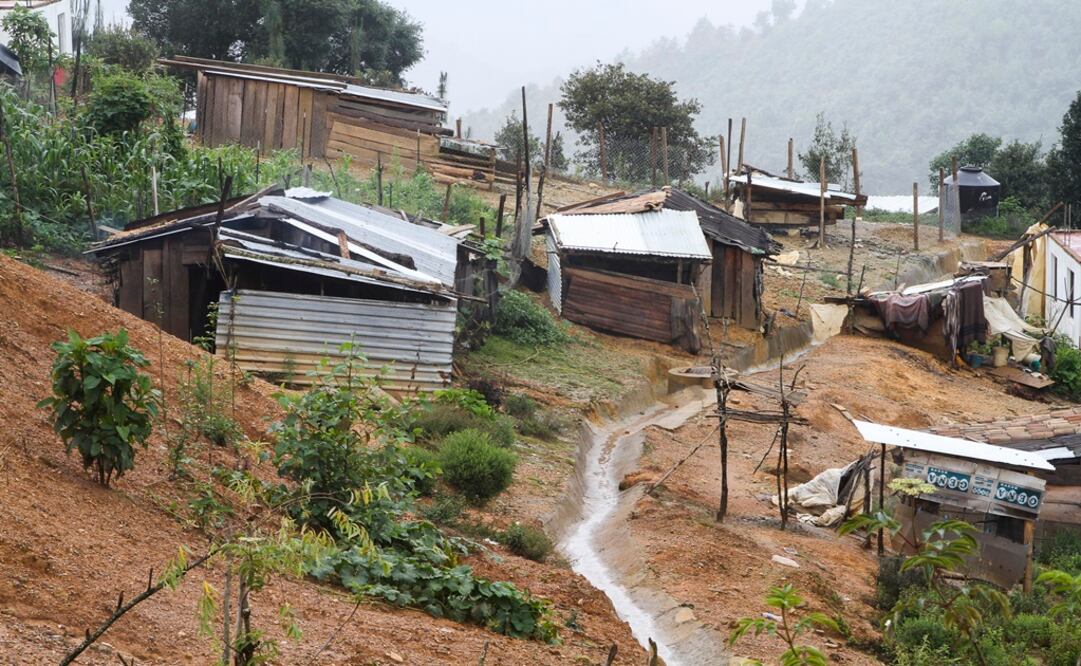 Foto: Archivo/Cuartoscuro