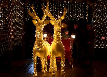 FOTOS: Las mejores imágenes del último sábado del año en EL UNIVERSAL