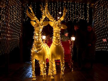 FOTOS: Las mejores imágenes del último sábado del año en EL UNIVERSAL