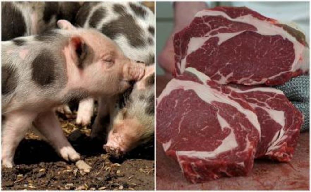 Enfermedades que te pueden dar por comer estos alimentos