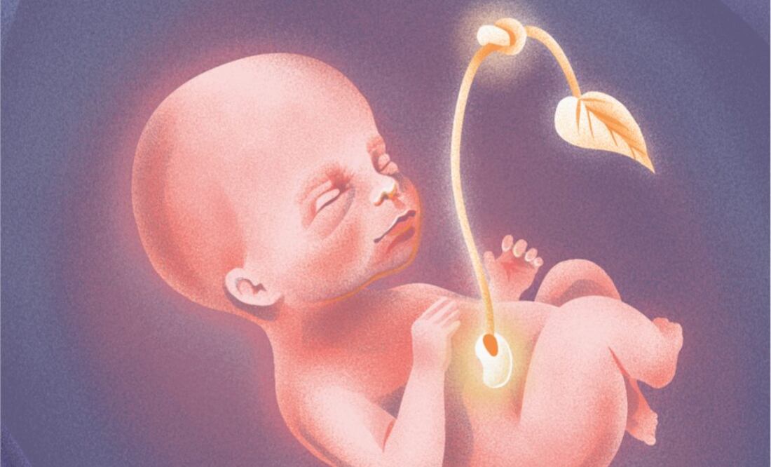 Cada 3 de marzo se conmemora el Día Mundial de los Defectos de Nacimiento. | Ilustración: Ani Cortés/EL UNIVERSAL