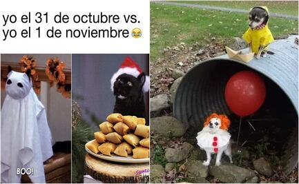 Halloween 2024: Los mejores memes para asustar este 31 de octubre 