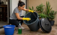 ¿Cómo quitar el mal olor del bote de basura?; esta es la manera de hacer un aromatizante ecológico