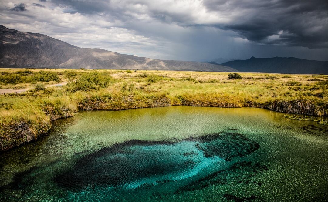 La Poza Azul es el gran atractivo turístico de Cuatro Ciénegas. Foto: iStock
