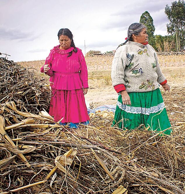 Se destinarán aproximadamente 17.6 millones a la Consulta Indígena; el ejercicio permite la participación de este sector en diversos temas (ARCHIVO. EL UNIVERSAL)