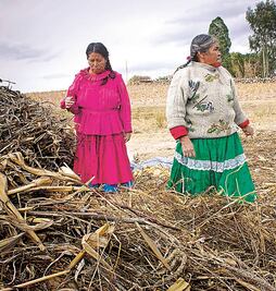 INE avala la reasignación de primeros remanentes