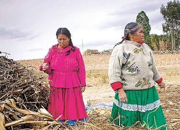 INE avala la reasignación de primeros remanentes