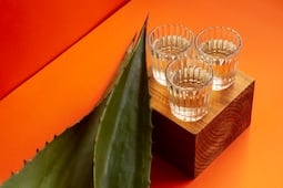 ¡De México para el mundo!; estas son las bebidas tradicionales más emblemáticas del país