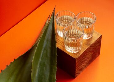 ¿Cuándo y dónde será el Festival del Pulque y el Mezcal 2025?