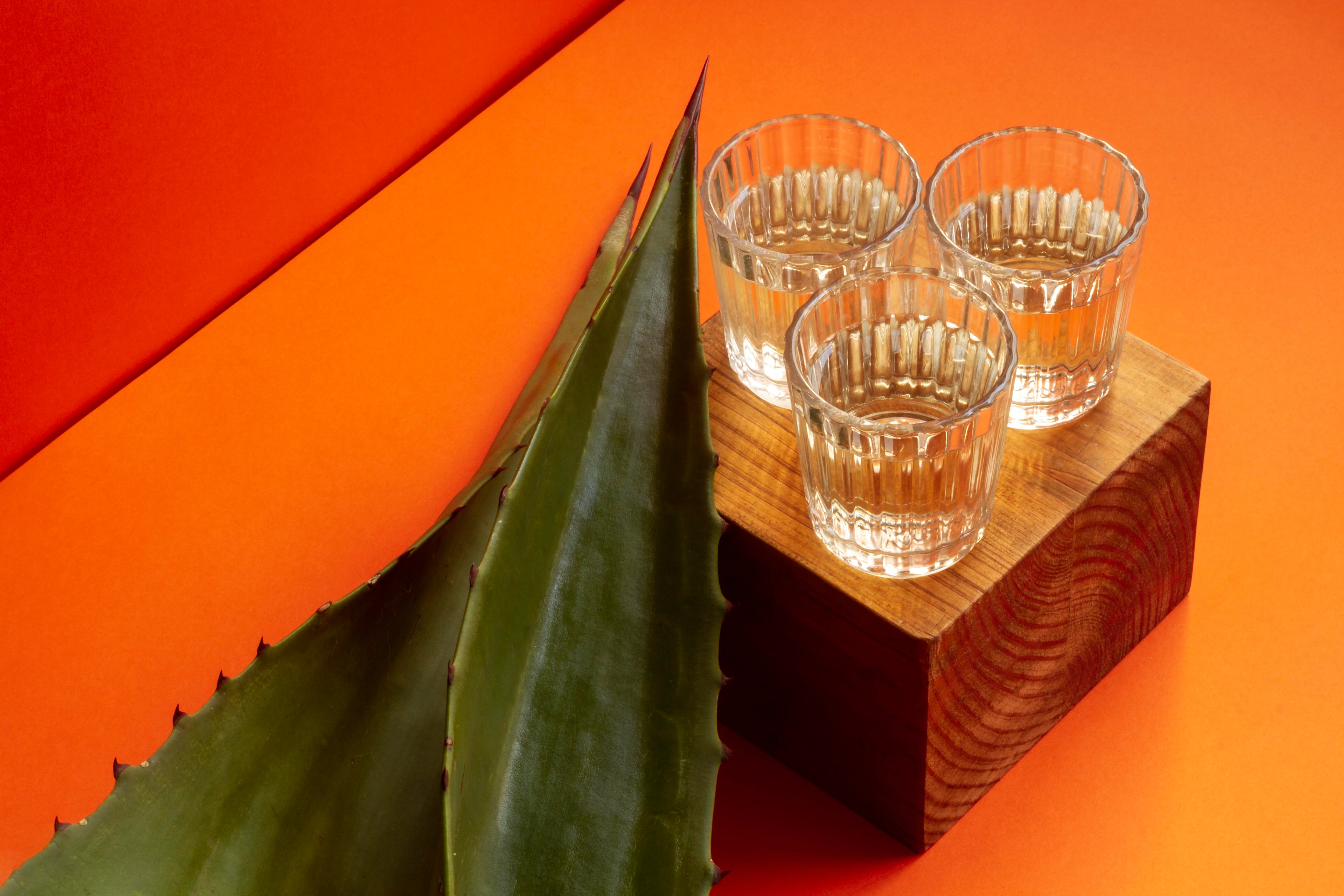 ¡De México para el mundo!; estas son las bebidas tradicionales más emblemáticas del país