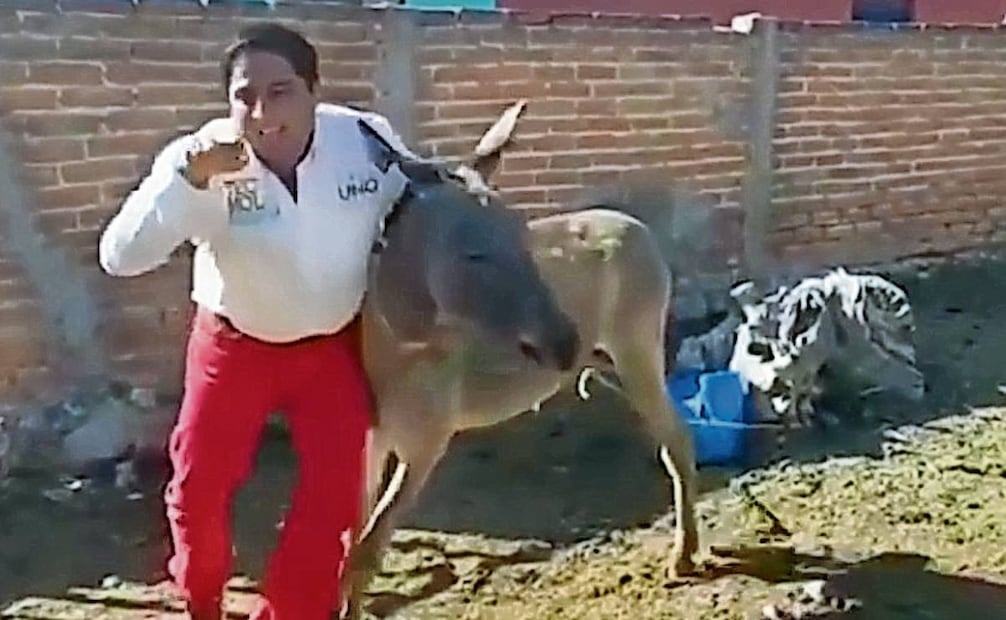 José Luis Romero Calzada, candidato a diputado federal por San Luis Potosí, bailó con un burro en 2018. Foto: Especial