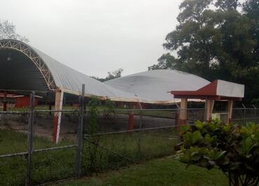 Fuertes vientos dejan árboles caídos y cortes de energía en Veracruz