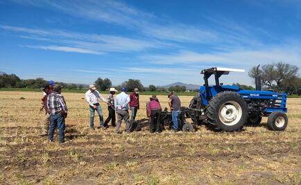 Bimbo apuesta por la agricultura regenerativa