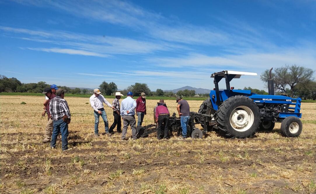 Foto: Cortesía Grupo Bimbo