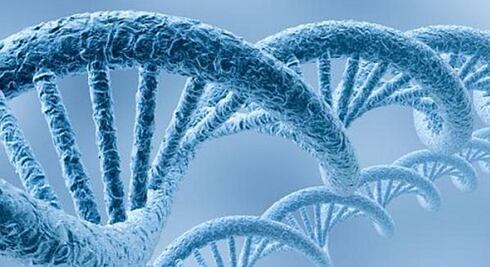 Nuevas herramientas de la genómica