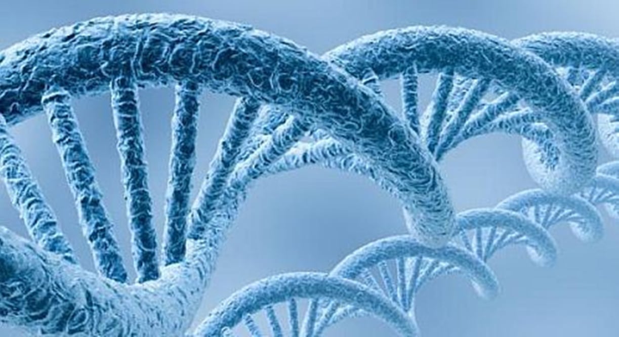 Foto: Archivo/ELUNIVERSAL