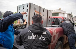 Muere Kenzo, el tigre de Bengala capturado en Tepetlaoxtoc tras recibir un disparo