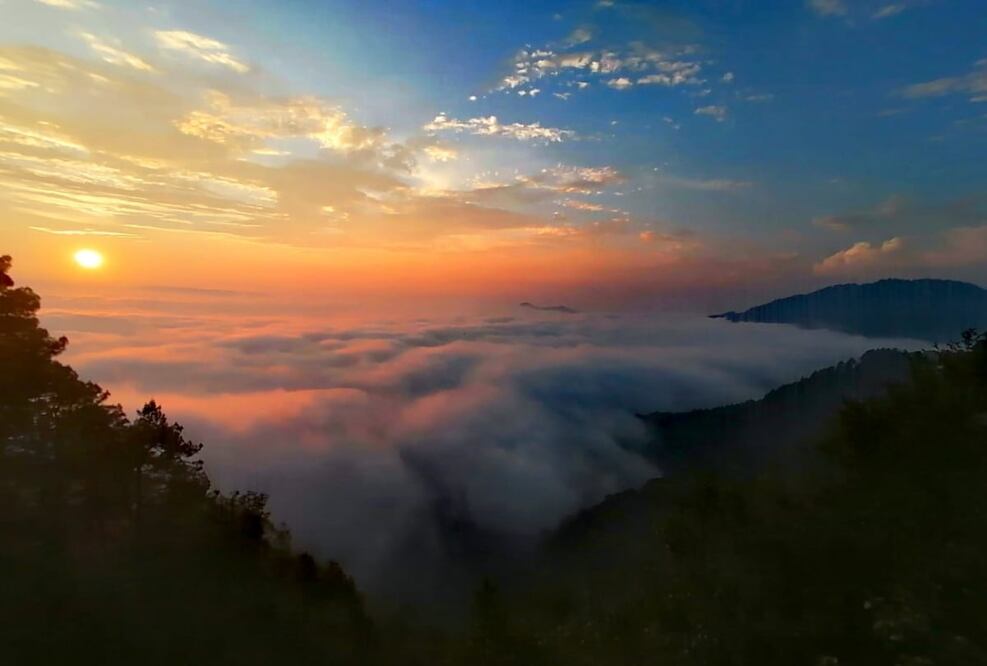 La sierra sur de Oaxaca, un paraíso en las nubes. Foto: Cortesía Ben’Zaa.  
