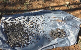 Hallan restos óseos en el municipio de Madera; Fiscalía de Chihuahua localiza evidencias criminalísticas