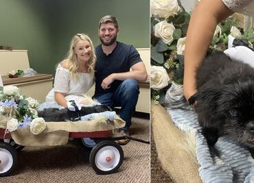 Pareja celebra boda en veterinaria para que su perrito enfermo los acompañara