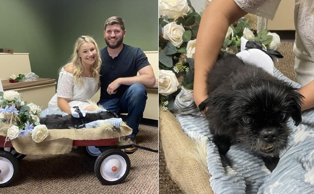 El gesto de una pareja que tenía planes de casarse enterneció a los usuarios en las redes sociales. Foto: Facebook VCA Veterinary Emergency Service & Veterinary Specialty Center