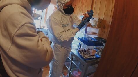 Riñas, persecuciones e intentos de suicidio en "Metrópoli: Bogotá"