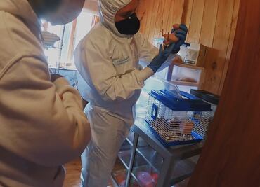 Riñas, persecuciones e intentos de suicidio en "Metrópoli: Bogotá"