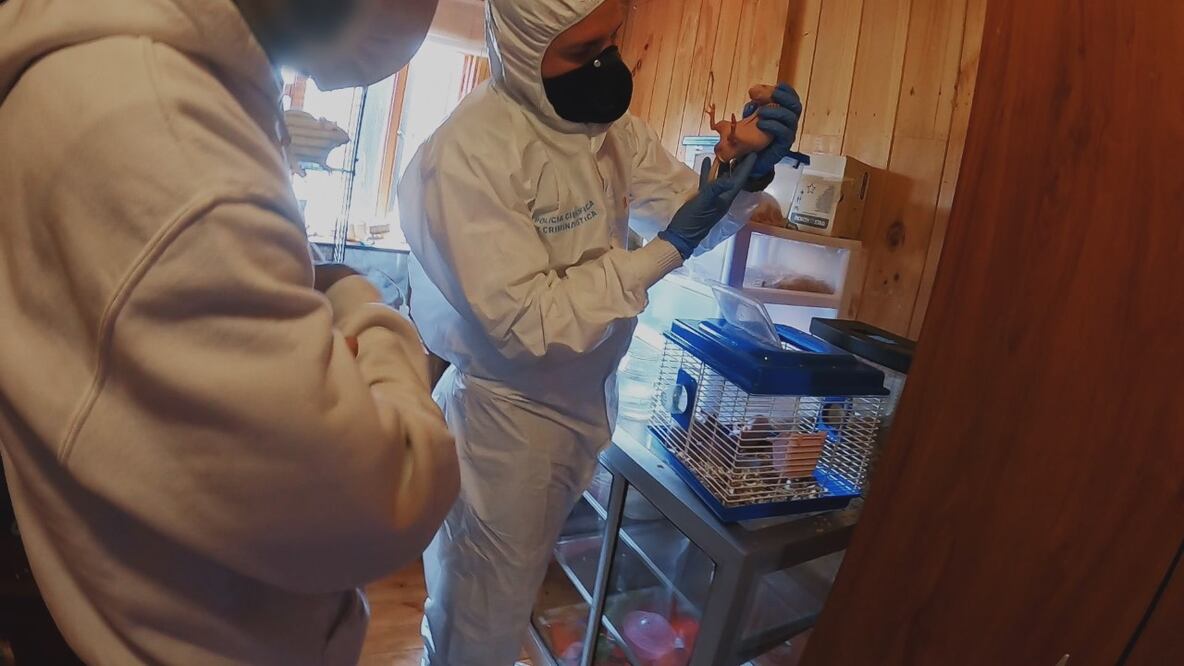 "Metrópoli: Bogotá"