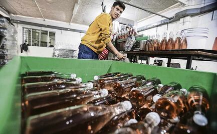 Escasez de manzanas pega a producción de sidra