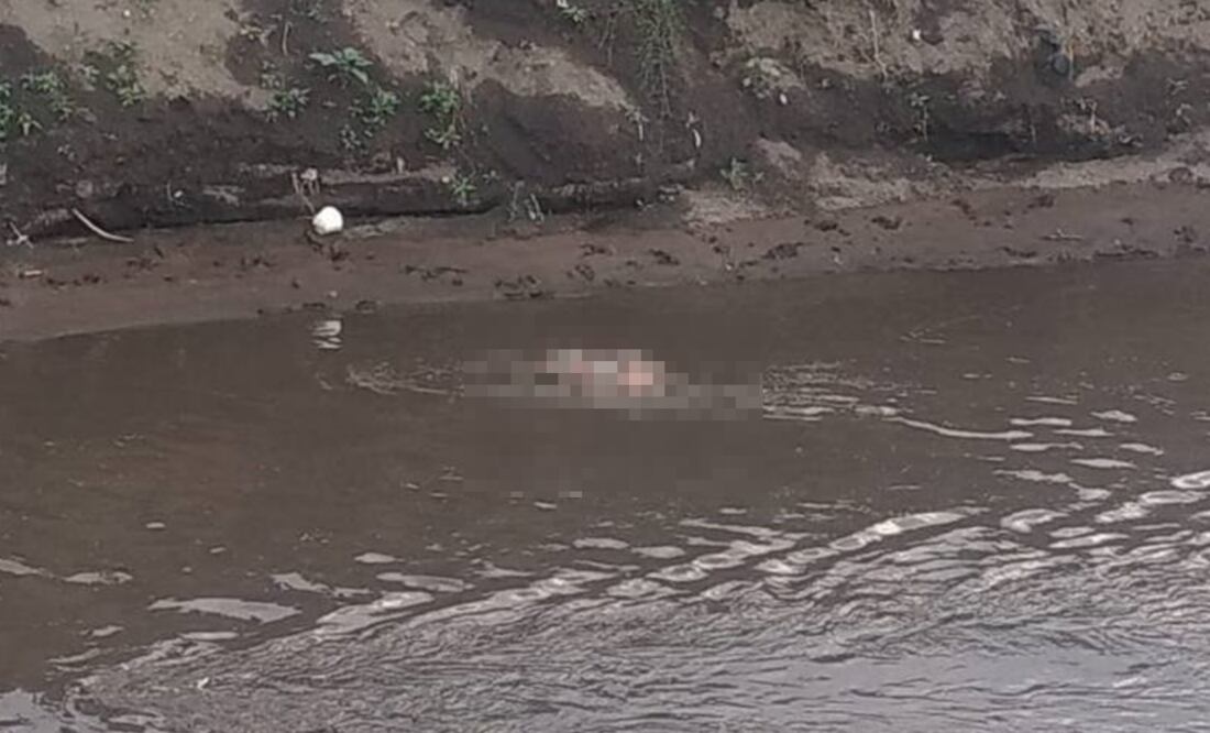 Fotografía: Especial