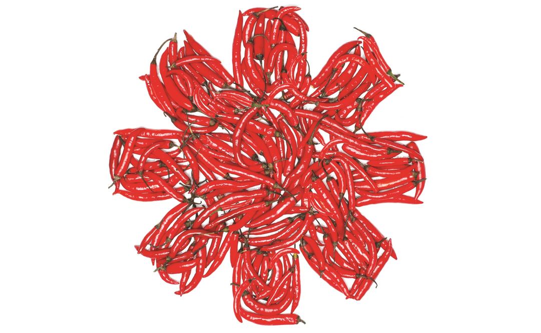 Ilustración: ROSARIO LUCAS