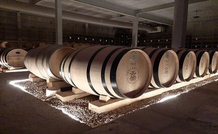 Guanajuato avanza en el mercado vinícola