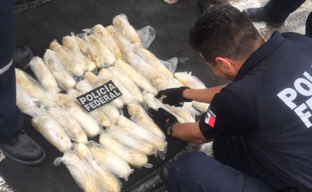 Aseguran droga en Sinaloa. Foto: Especial