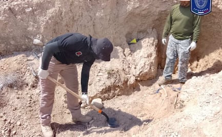 Encuentran dos osamentas durante rastreo en Chihuahua; realizaban acciones de búsqueda de personas