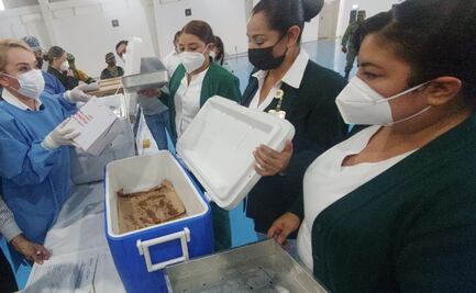 Inicia vacunación de adultos mayores contra Covi-19 en municipios de Sinaloa en semáforo verde