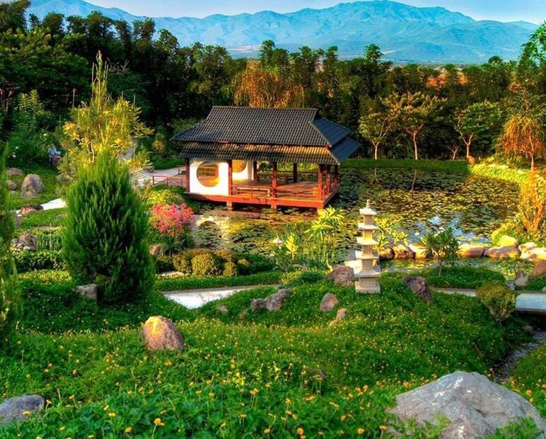 Foto: Jardines de México