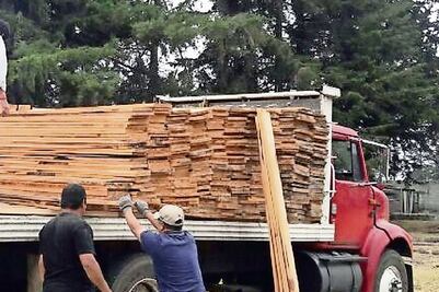 Asegura Profepa tierra de monte y madera